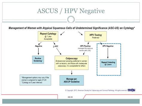 ascus pap with neg hpv.
